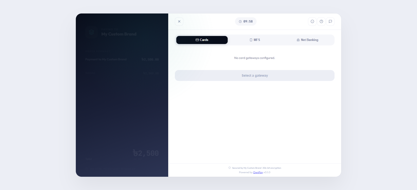 Secure Checkout Interface